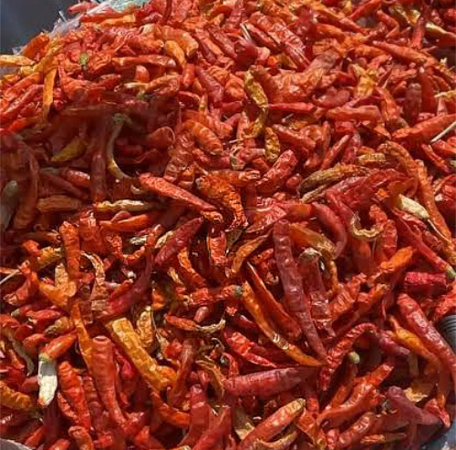 Red Chilli Pepper