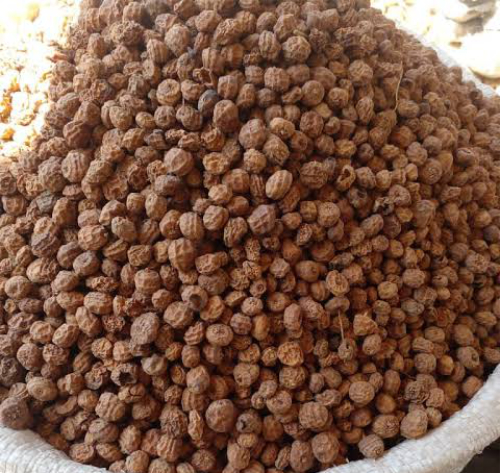 Tiger Nuts