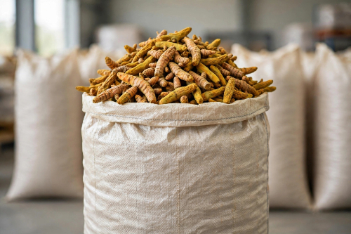 Dry Turmeric Finger