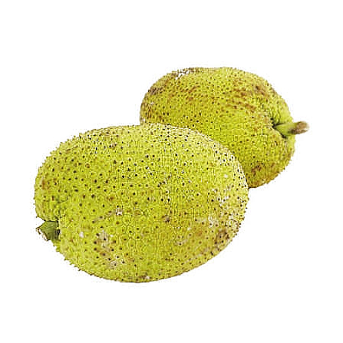 Breadfruit