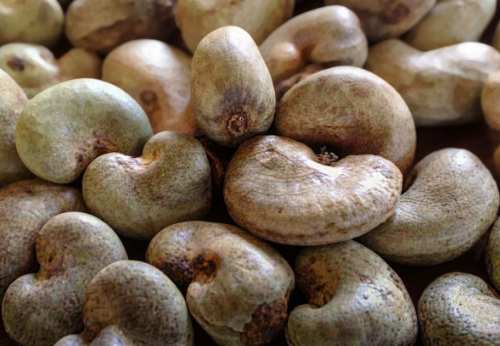 Cashew Nuts