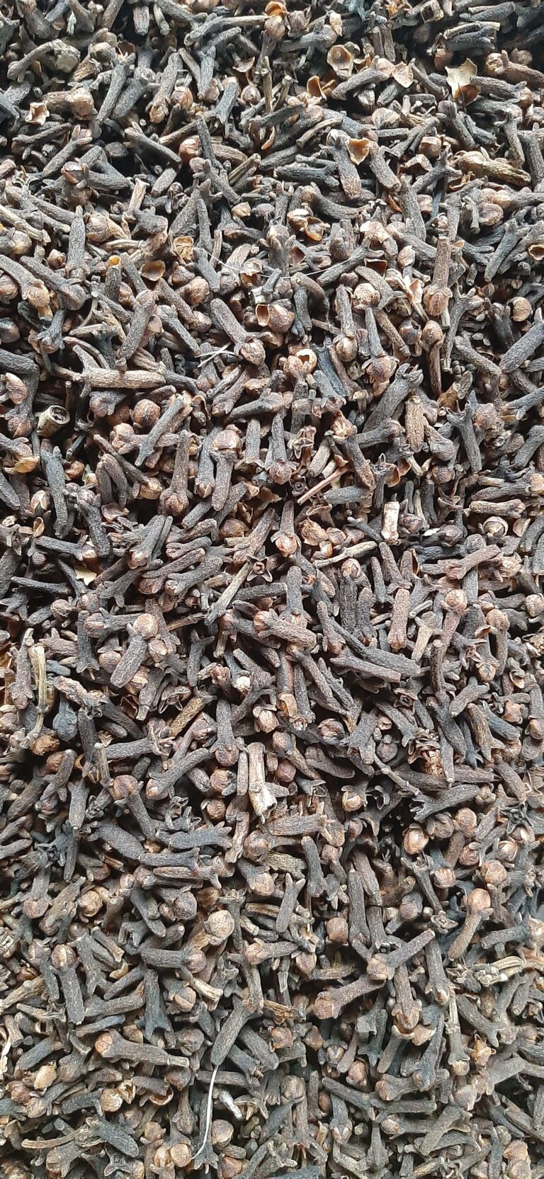 Cloves