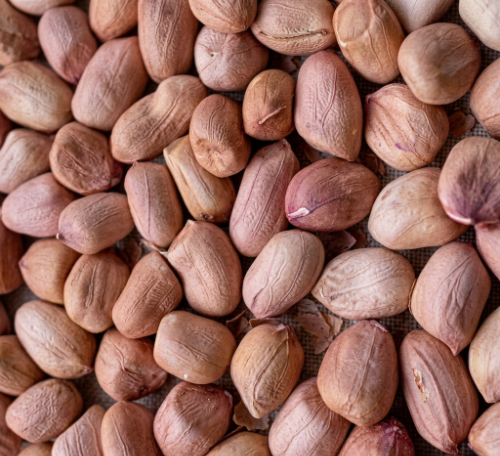 Groundnut Seeds