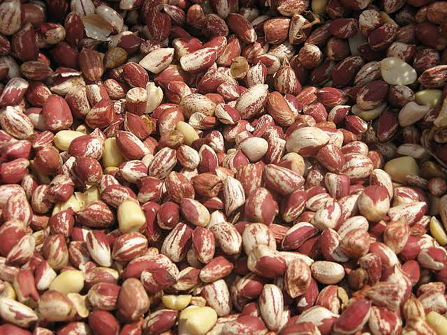 Peanuts